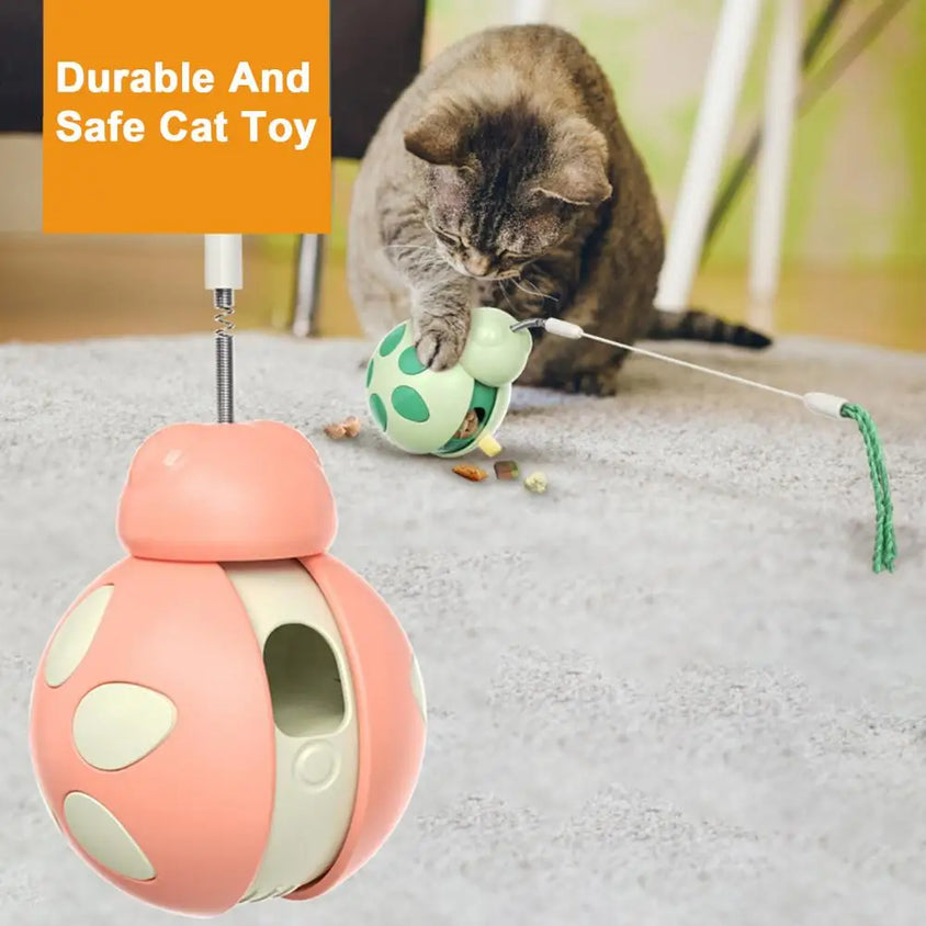 Beetle Shape Tumbler Cat Toy with Feeder - CatebyPets