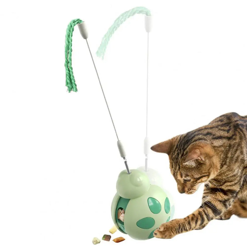 Beetle Shape Tumbler Cat Toy with Feeder - CatebyPets