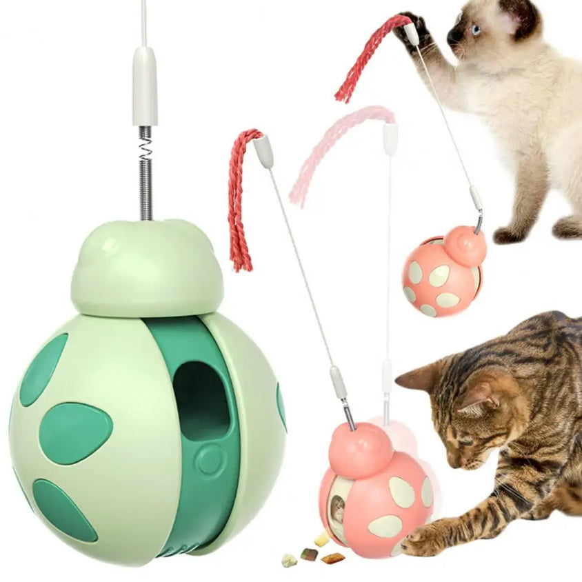 Beetle Shape Tumbler Cat Toy with Feeder - CatebyPets