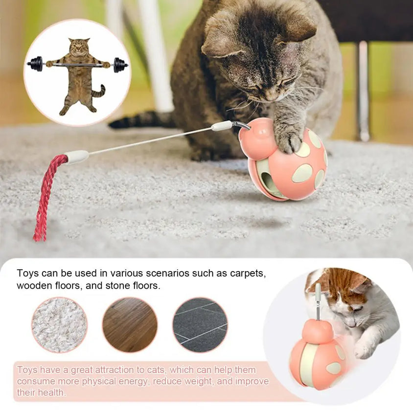 Beetle Shape Tumbler Cat Toy with Feeder - CatebyPets