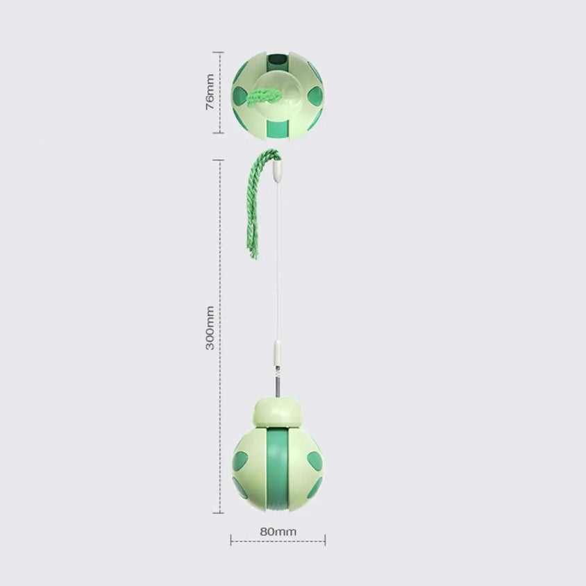 Beetle Shape Tumbler Cat Toy with Feeder - CatebyPets