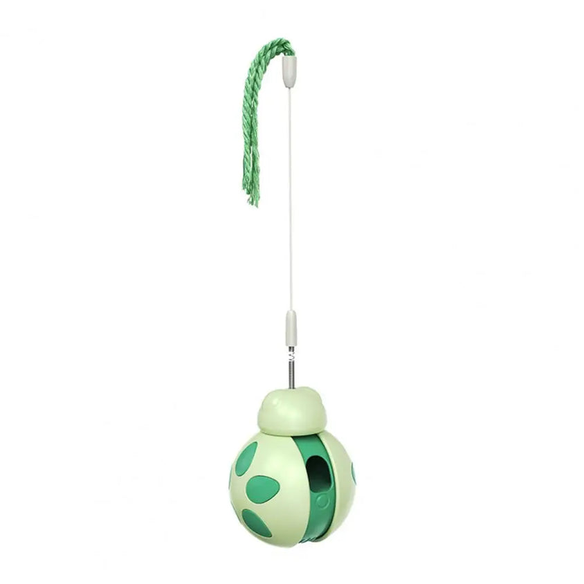 Beetle Shape Tumbler Cat Toy with Feeder - CatebyPets