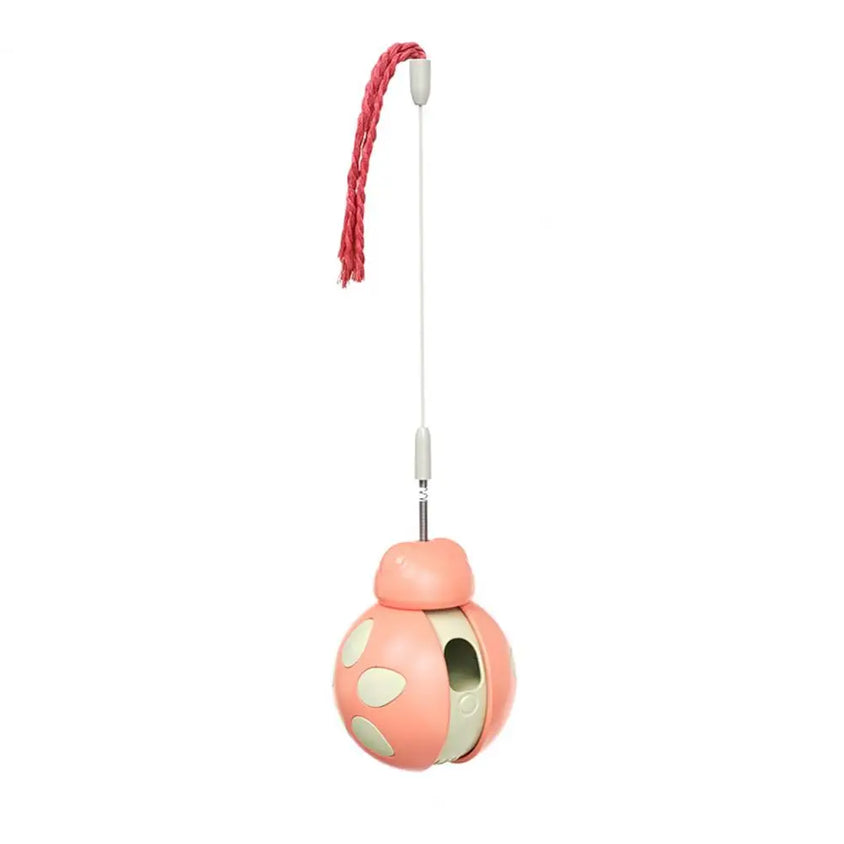 Beetle Shape Tumbler Cat Toy with Feeder - CatebyPets