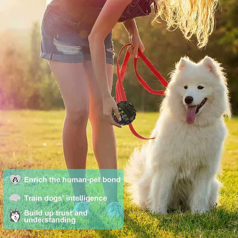 Interactive Dog Ball Squeaky Sound - CatebyPets