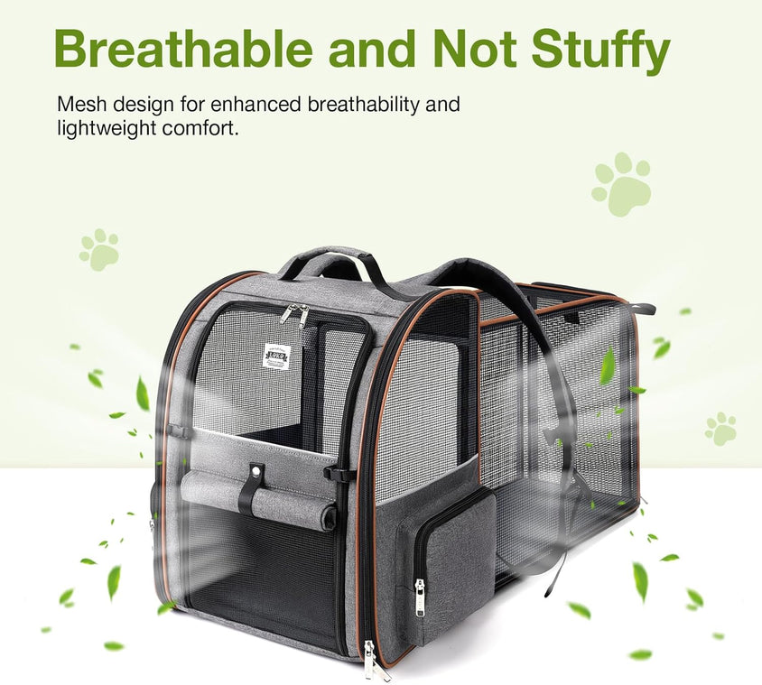 Large Expandable Pet Carrier Backpack - CatebyPets