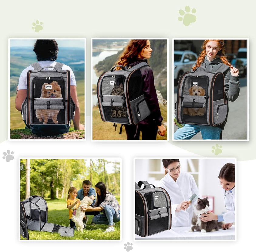 Large Expandable Pet Carrier Backpack - CatebyPets