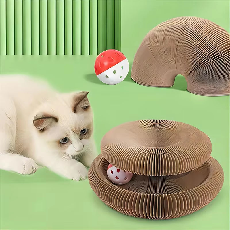 Foldable Magic Organ Cat Scratching Board Funny Toy - CatebyPets