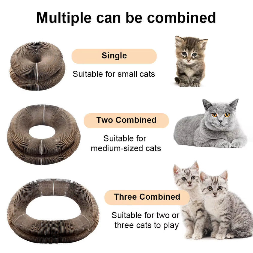 Foldable Magic Organ Cat Scratching Board Funny Toy - CatebyPets