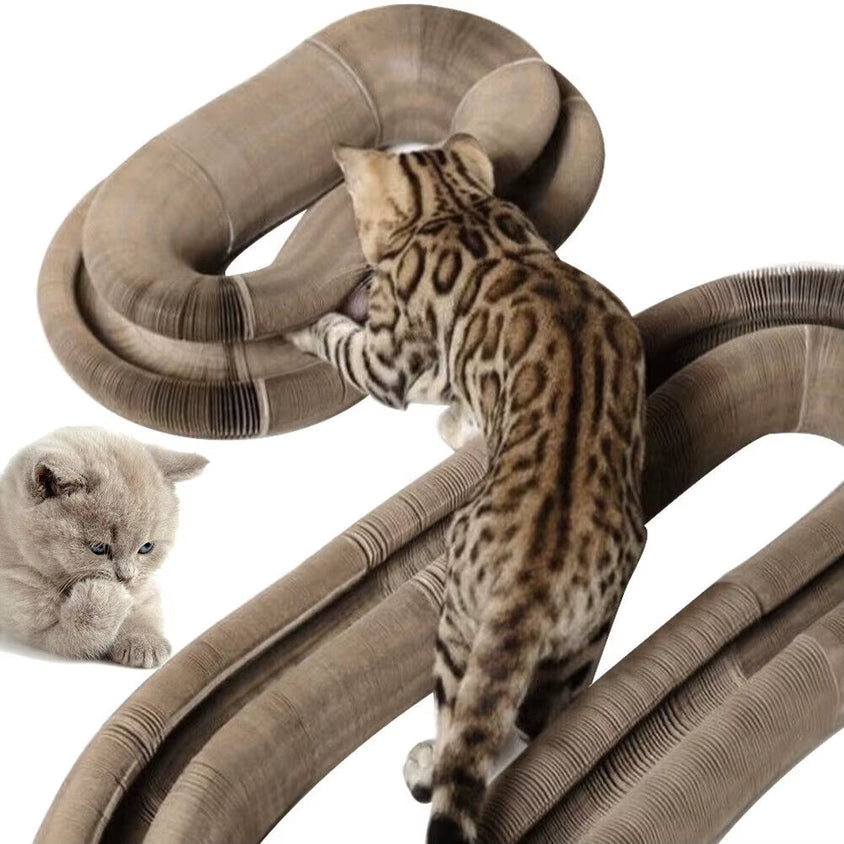 Foldable Magic Organ Cat Scratching Board Funny Toy - CatebyPets