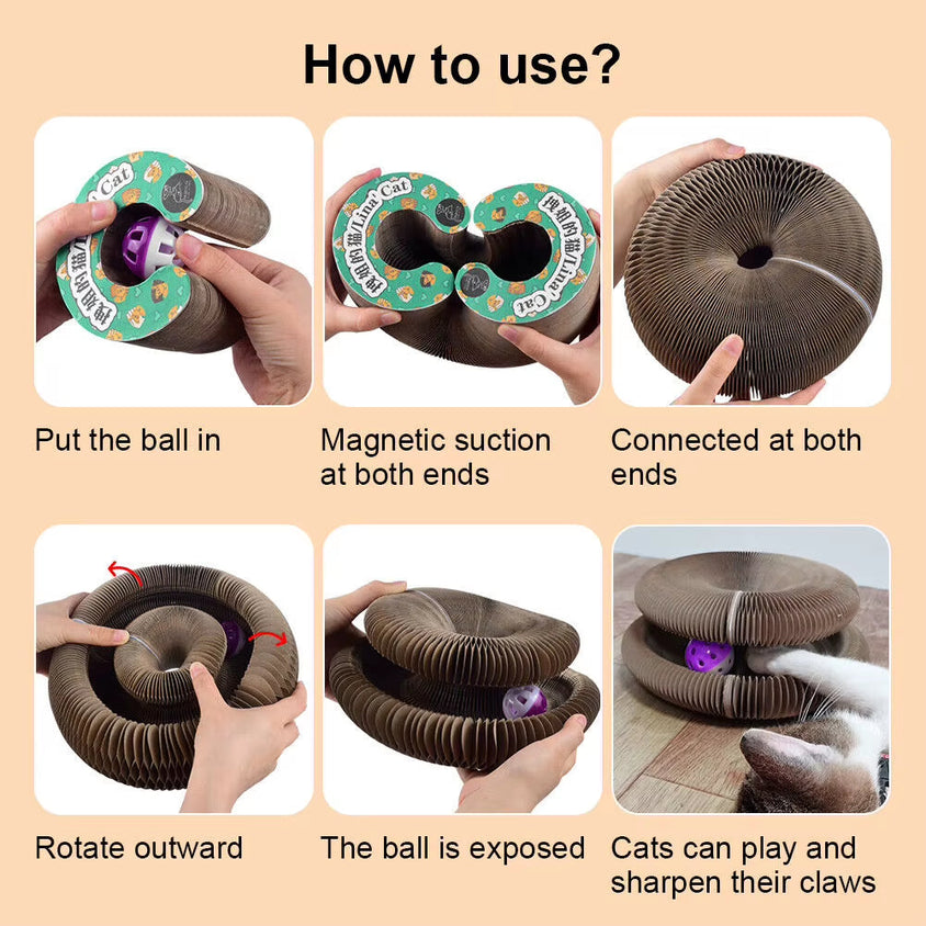 Foldable Magic Organ Cat Scratching Board Funny Toy - CatebyPets