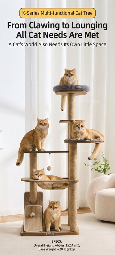 Multiple Black Walnut Cat Climbing Tree Indoor - CatebyPets