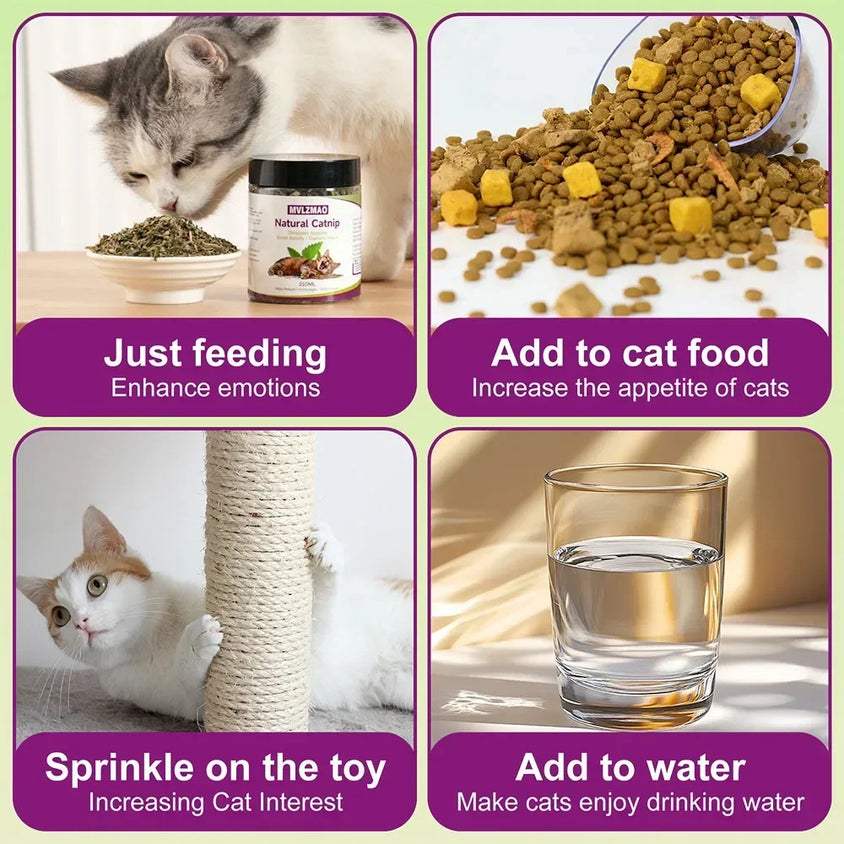 Cat Crack Catnip 100% Natural Safe & Non-Addictive Catnip Treats Used to Supplement Catnip Toys, Catnip Spray, & Cat Accessories - CatebyPets