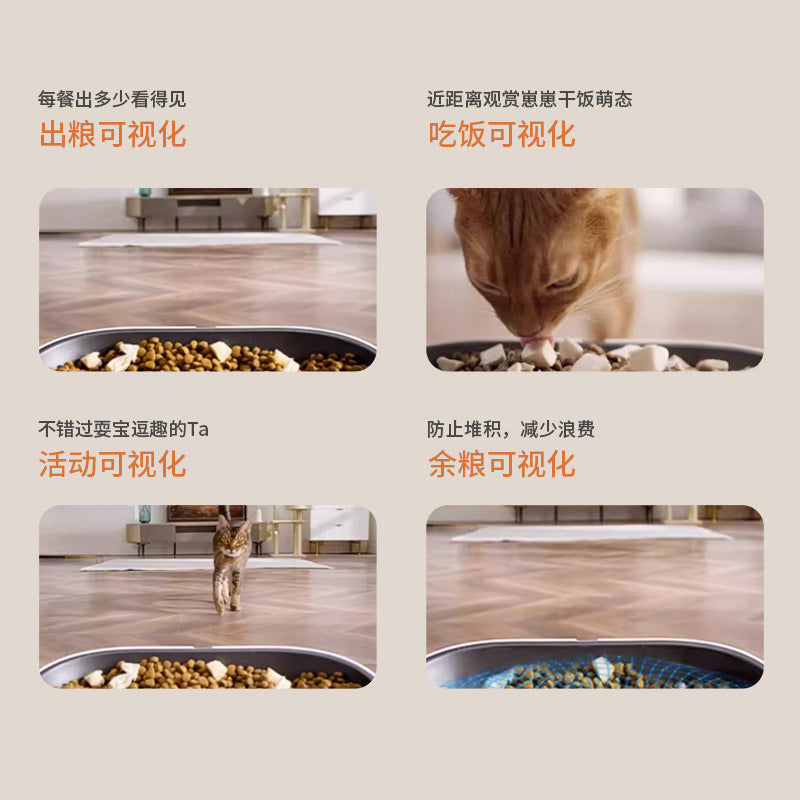 跨境6L宠物智能猫狗喂食器多餐不堵粮远程单频WIFI+蓝牙/视频观宠