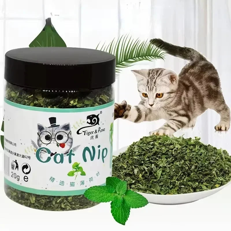 Pet Store Organic Catnip Mint Toy: Eco-Friendly Feline Fun - CatebyPets