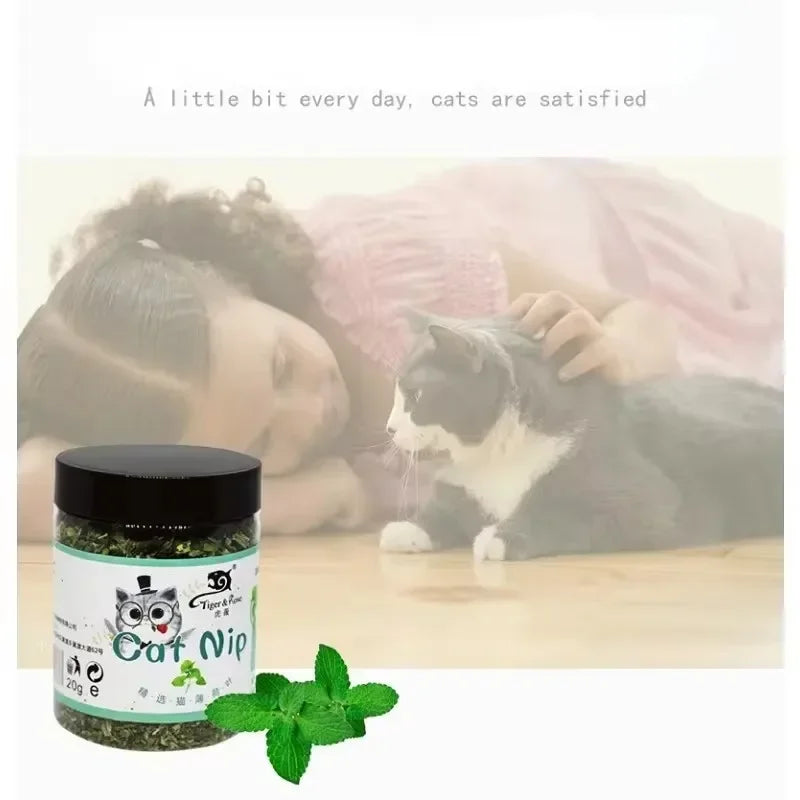 Pet Store Organic Catnip Mint Toy: Eco-Friendly Feline Fun - CatebyPets