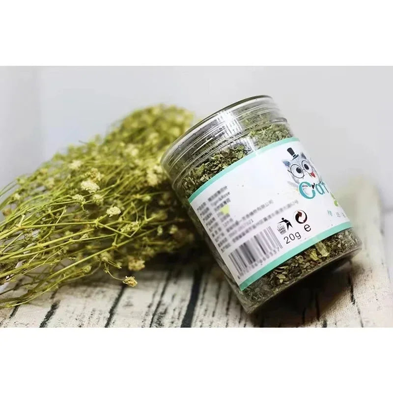 Pet Store Organic Catnip Mint Toy: Eco-Friendly Feline Fun - CatebyPets
