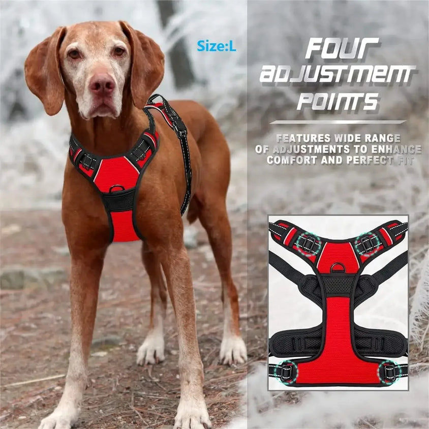 Dog Collars Harness Big Vests Leash Pet Shop Everything for Dogs Leather Puppy Accessories Medium Small Set - CatebyPets