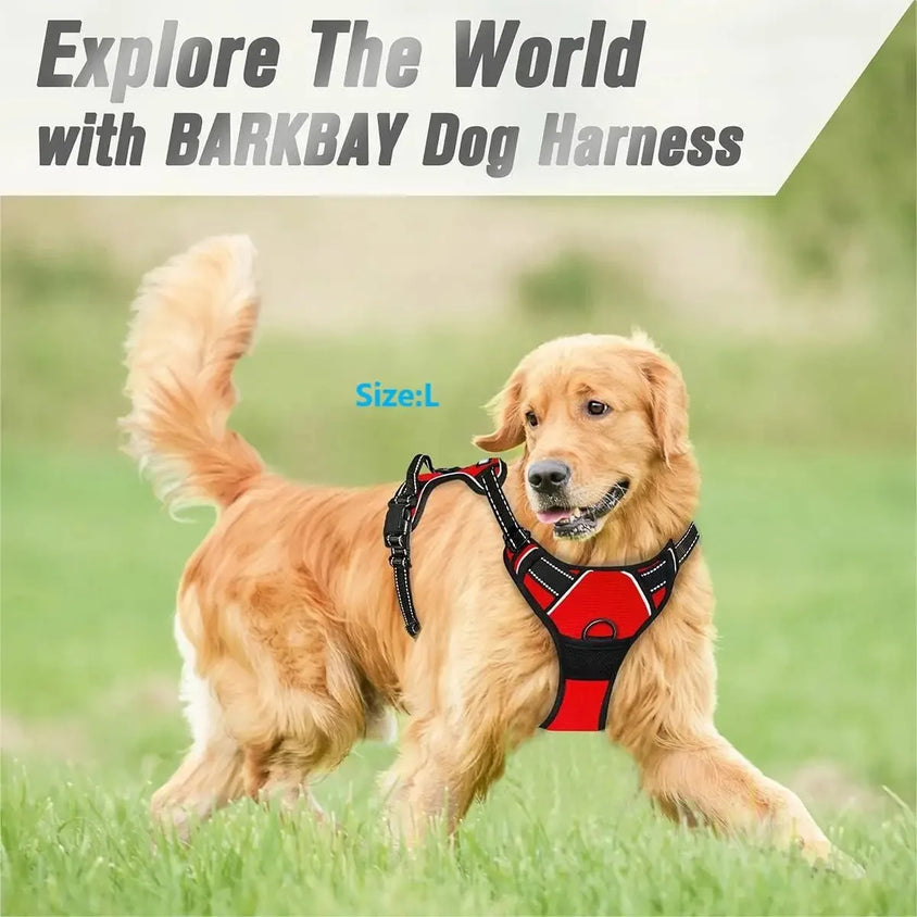 Dog Collars Harness Big Vests Leash Pet Shop Everything for Dogs Leather Puppy Accessories Medium Small Set - CatebyPets