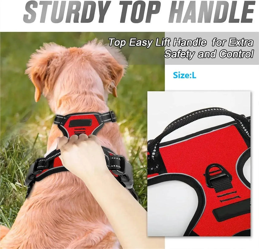 Dog Collars Harness Big Vests Leash Pet Shop Everything for Dogs Leather Puppy Accessories Medium Small Set - CatebyPets