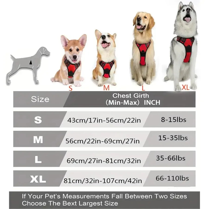 Dog Collars Harness Big Vests Leash Pet Shop Everything for Dogs Leather Puppy Accessories Medium Small Set - CatebyPets