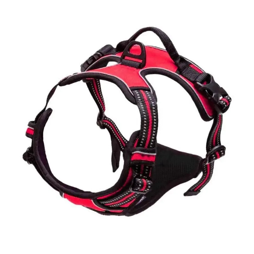 Dog Collars Harness Big Vests Leash Pet Shop Everything for Dogs Leather Puppy Accessories Medium Small Set - CatebyPets