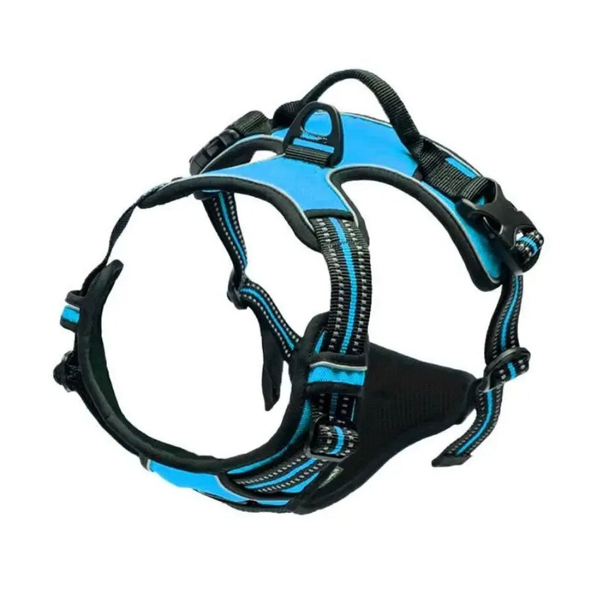 Dog Collars Harness Big Vests Leash Pet Shop Everything for Dogs Leather Puppy Accessories Medium Small Set - CatebyPets
