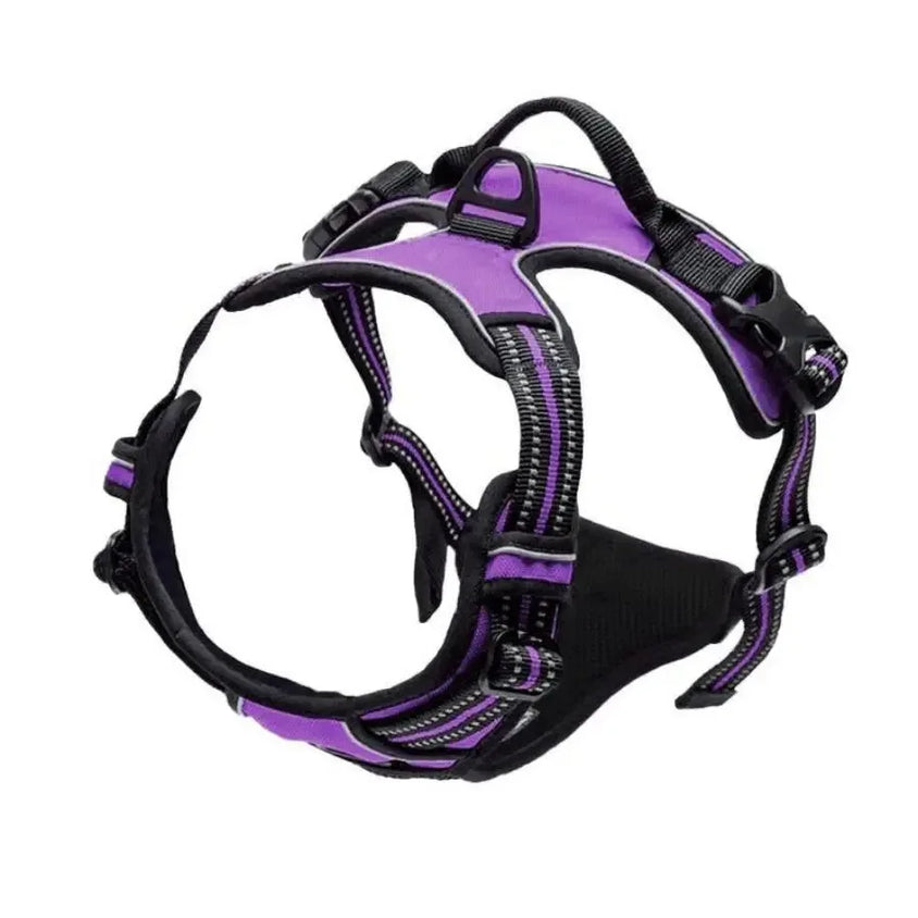 Dog Collars Harness Big Vests Leash Pet Shop Everything for Dogs Leather Puppy Accessories Medium Small Set - CatebyPets