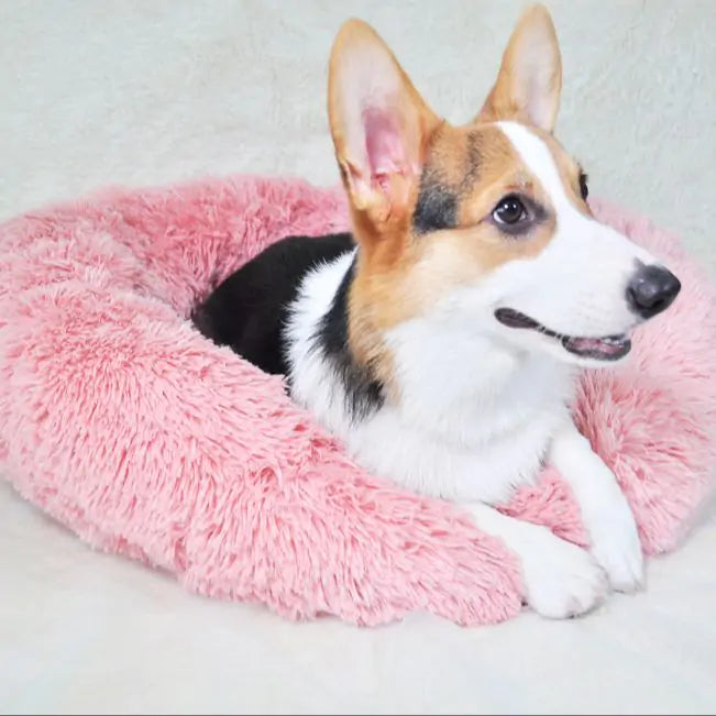 Pet Calming Bed - CatebyPets