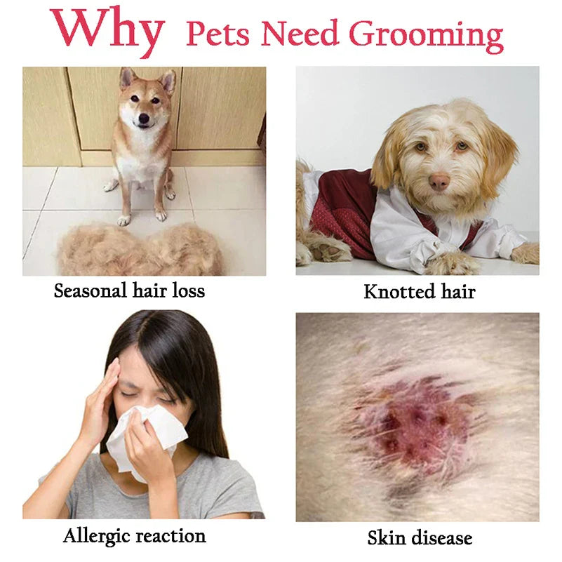 Professional Pet Deshedding Brush Grooming Shedding Supplies - CatebyPets