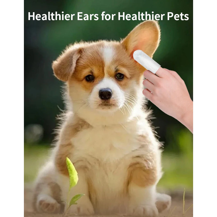 Pet cleaning products  Ear cleaning wipes  Ear care fingertips  Ear mite removal  Cat and dog ear cleaning pet products - CatebyPets