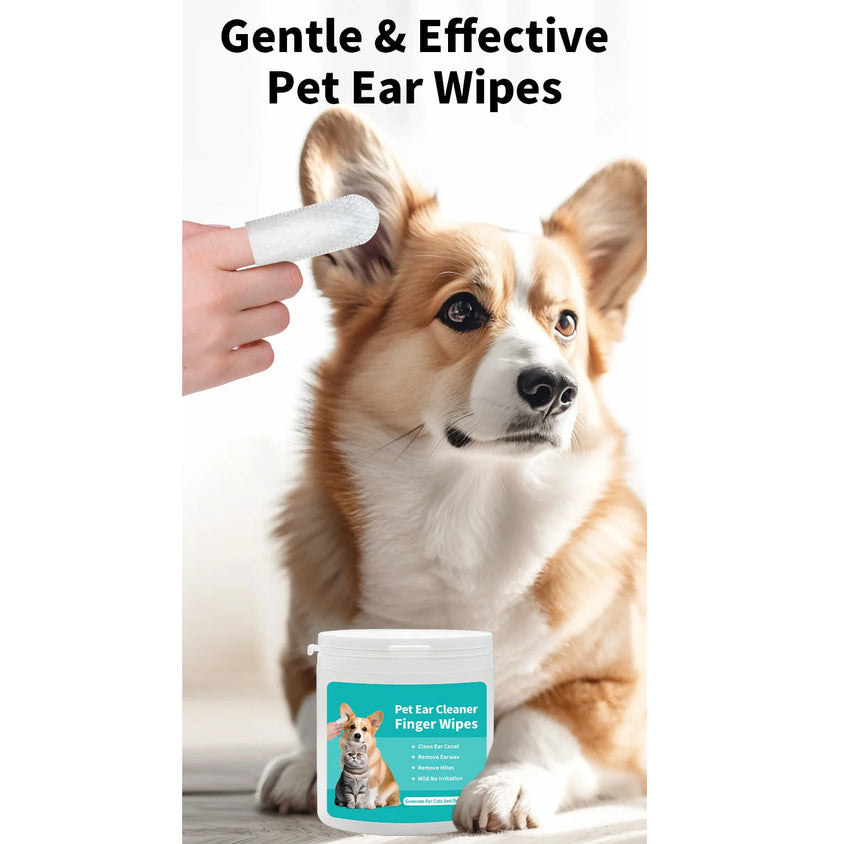Pet cleaning products  Ear cleaning wipes  Ear care fingertips  Ear mite removal  Cat and dog ear cleaning pet products - CatebyPets
