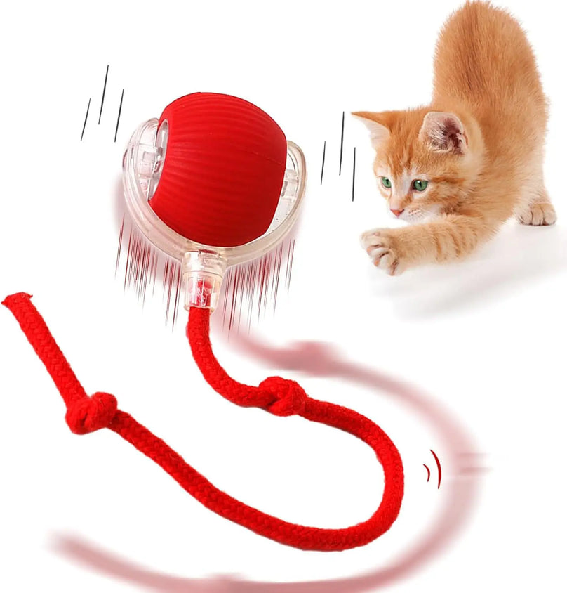 Automatic Rolling Ball Interactive Ball Cat Toys - CatebyPets