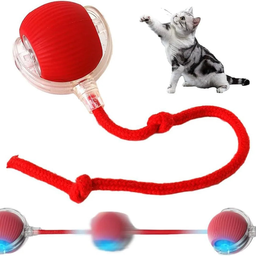 Automatic Rolling Ball Interactive Ball Cat Toys - CatebyPets