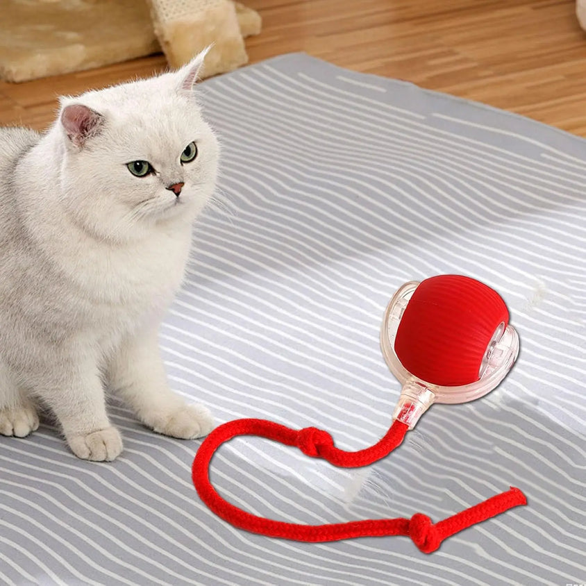 Automatic Rolling Ball Interactive Ball Cat Toys - CatebyPets