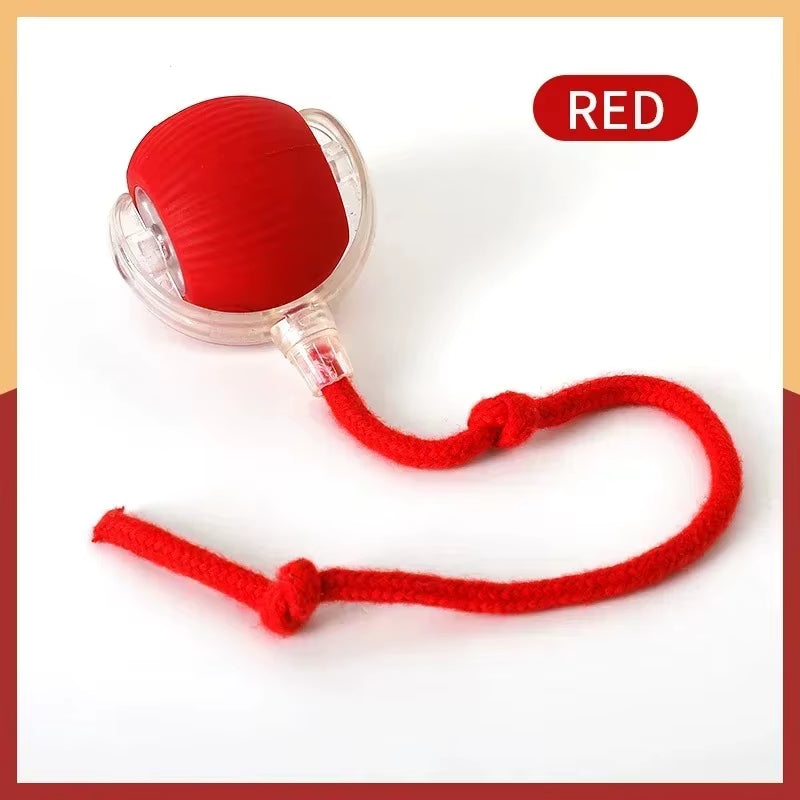 Automatic Rolling Ball Interactive Ball Cat Toys - CatebyPets