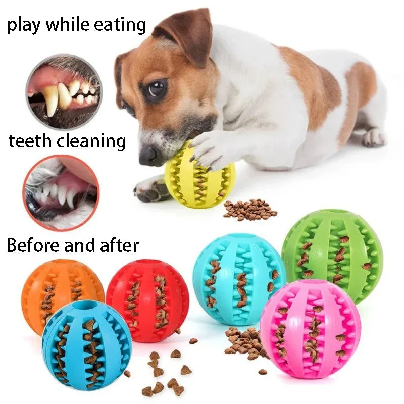 Dog treats toy, Natural Rubber petsmart dog chews,
 Natural Rubber Dog Chews,
 Petsmart Dog Treats and Toys,
 Durable Natural Dog Chew Toys
