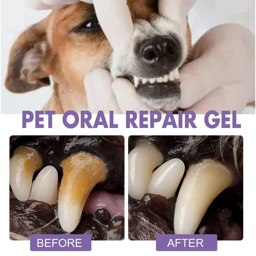 Dog Oral Cleaning Gel Tooth Stain Cleaner - CatebyPets