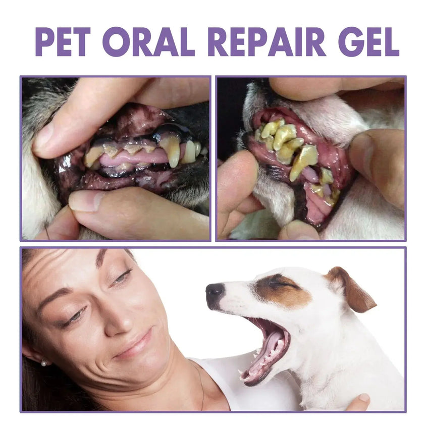 Dog Oral Cleaning Gel Tooth Stain Cleaner - CatebyPets