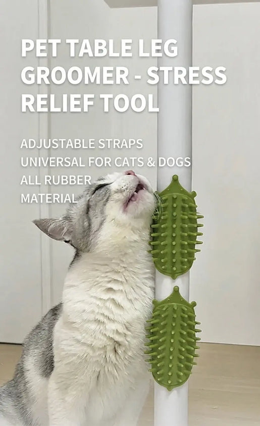 Self Cat Groomer Massage Hair Removal Comb With Scratch Pad Kit - CatebyPets