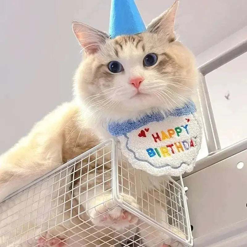 Adorable Dog & Cat Birthday Hat & Bandana Set - CatebyPets