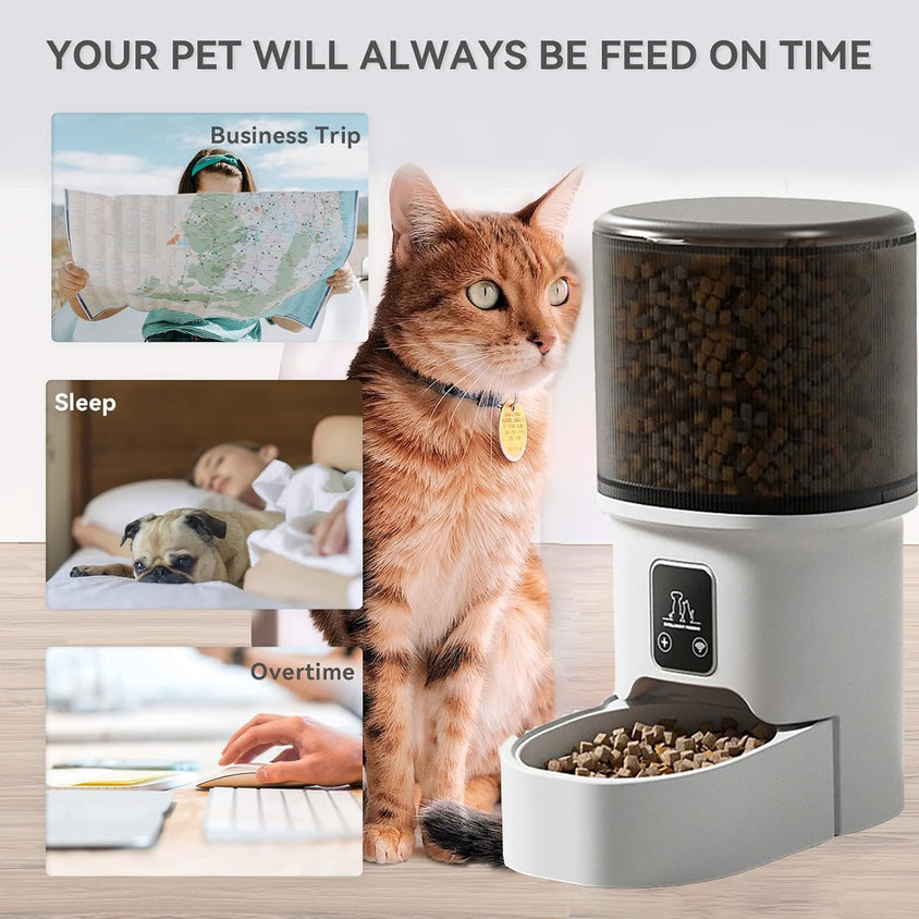 Smart Pet Feeder, 4L Capacity, App-Controlled with Bluetooth - CatebyPets