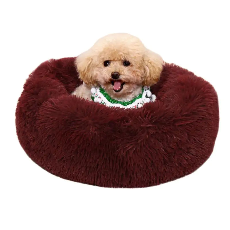 Pet Calming Bed,
Calming Dog Beds for Anxiety,
Pet Calming Bed for Small Dogs,
Orthopedic Calming Pet Bed
