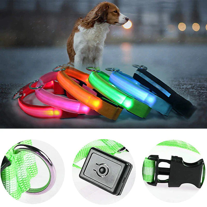 LED Adjustable Dog Collar,
LED Dog Collars Adjustable,
Rechargeable LED Dog Collar,
USB LED Dog Collar Adjustable