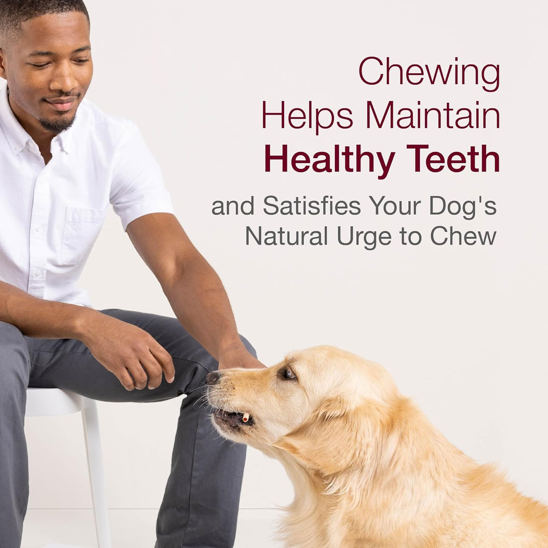 Smartsticks, Treat Your Dog to a RawhideSmart Bones, Treat Your Dog to a Rawhide-Free Chew Made with Real Chicken and Vegetables",
 Rawhide-Free Dog Chews,
 Healthy Dog Chews with Vegetables,
 Real Chicken Dog Chews-Free Chew Made with Real Chicken and Vegetables,10 Sticks