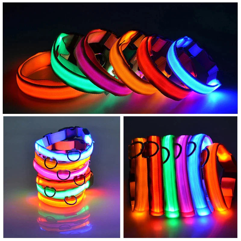 LED Adjustable Dog Collar,
LED Dog Collars Adjustable,
Rechargeable LED Dog Collar,
USB LED Dog Collar Adjustable