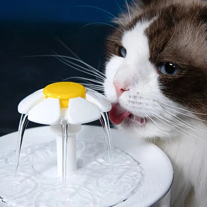 Automatic Circulating Pet Water Fountain - CatebyPets
