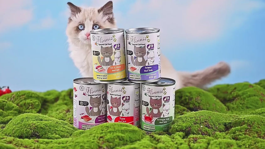 Wellness Pet Food Canned Cat Food Functional Wet 400g Can